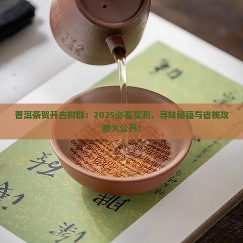 普洱茶贺开古树群