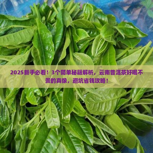 什么样的云南普洱茶好