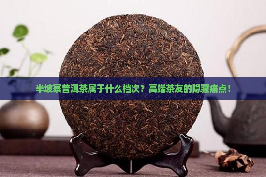 半坡寨普洱茶属于什么档次