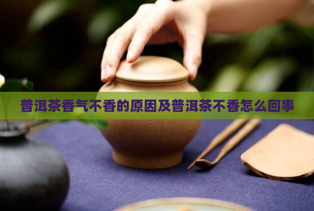 普洱茶干茶不香了怎么回事