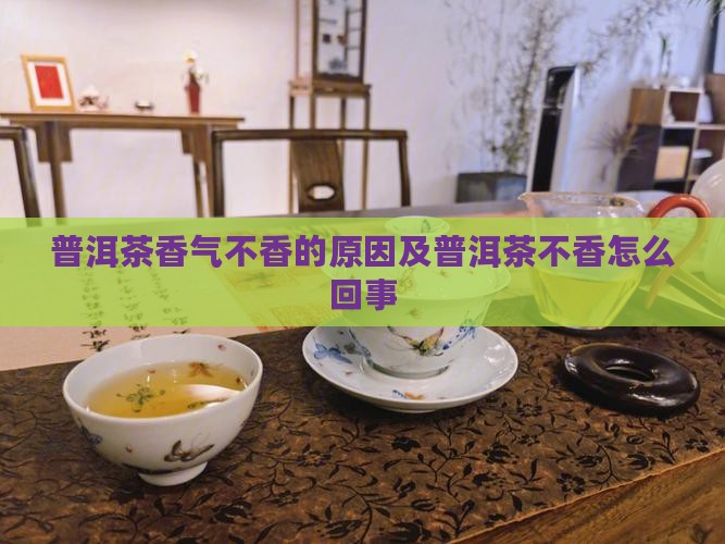 普洱茶干茶不香了怎么回事