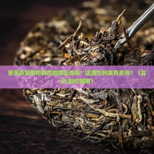 普洱茶加菊花有什么效果