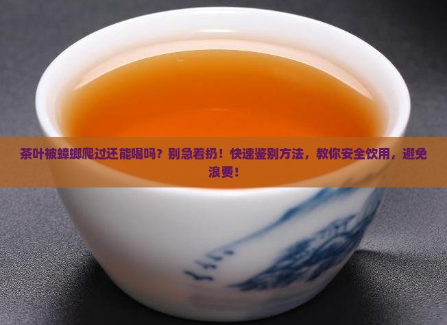 茶叶被蟑螂爬过还能喝吗