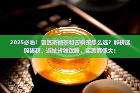 普洱茶熟茶和古树茶 普洱茶熟茶和古树茶