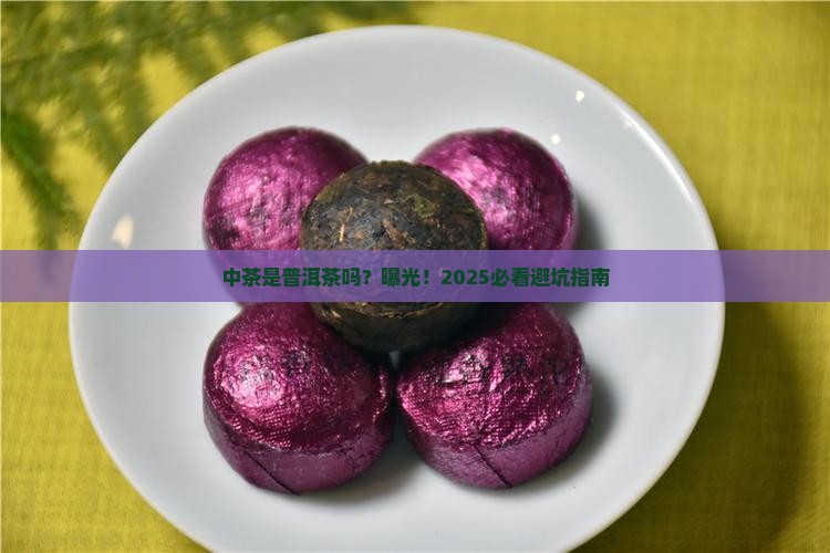 中茶是普洱茶吗