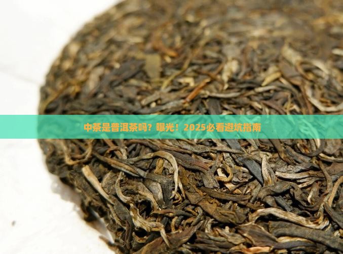 中茶是普洱茶吗