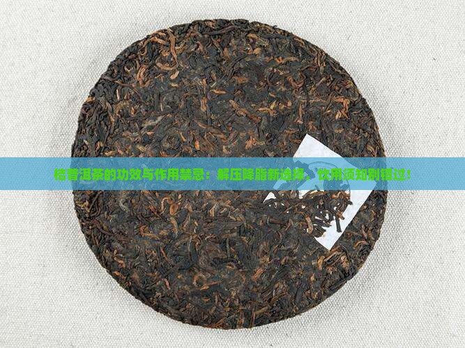 桔普洱茶的功效与作用禁忌