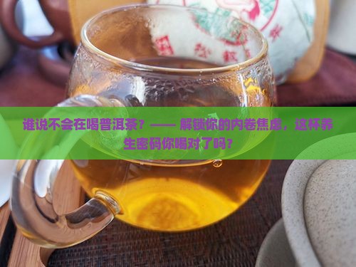 谁说不会在喝普洱茶