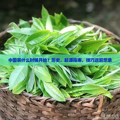 中国茶什么时候开始