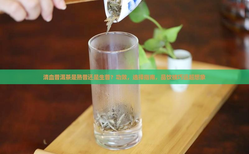 清血普洱茶是熟普还是生普