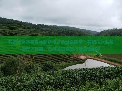 石狮冰岛茶餐民生路