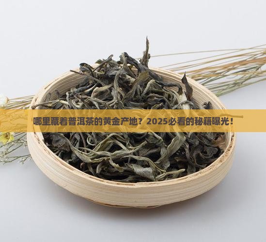 历史上最有名的普洱茶产地
