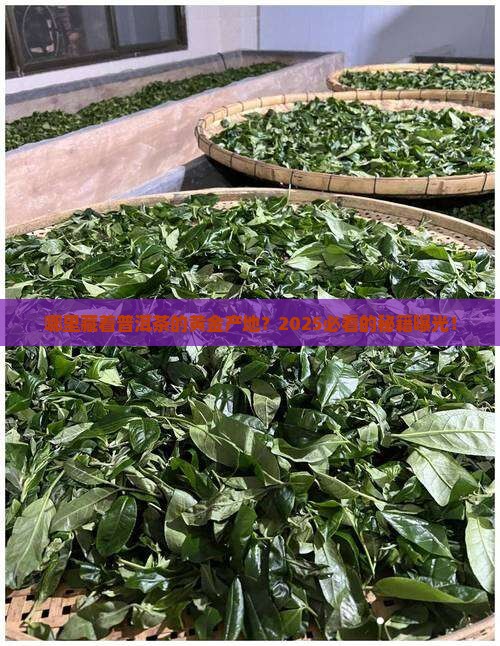 历史上最有名的普洱茶产地