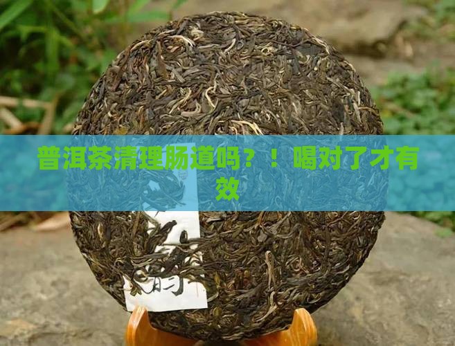 普洱茶清理肠道吗