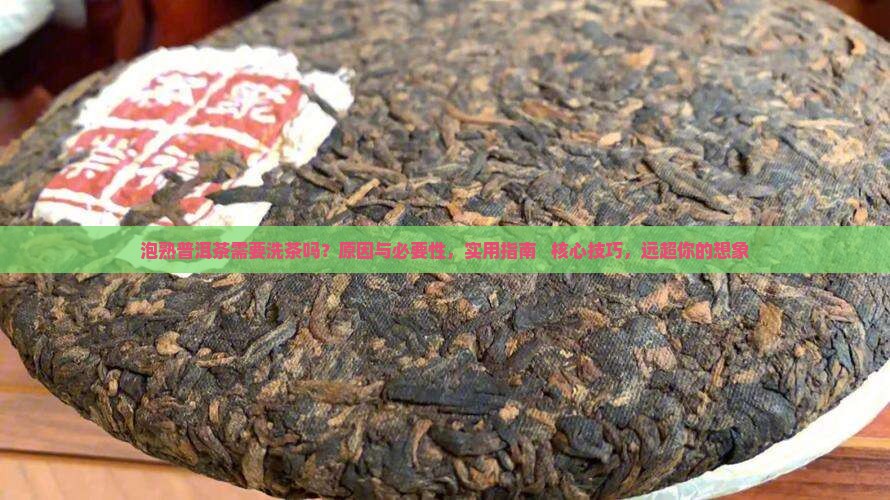 泡熟普洱茶需要洗茶吗