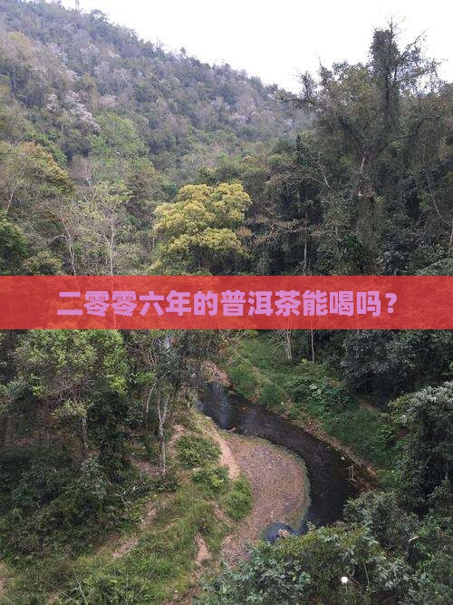 二零零六年的普洱茶能喝吗