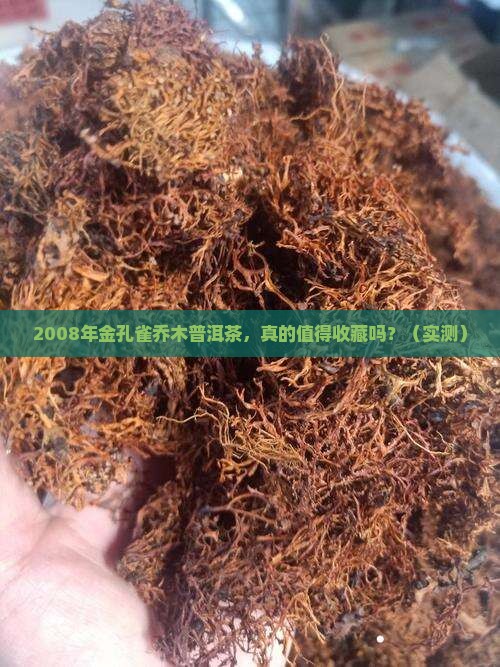 2008年金孔雀乔木普洱茶