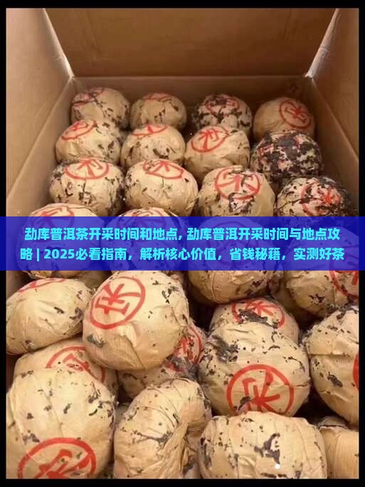 勐库普洱茶开采时间和地点