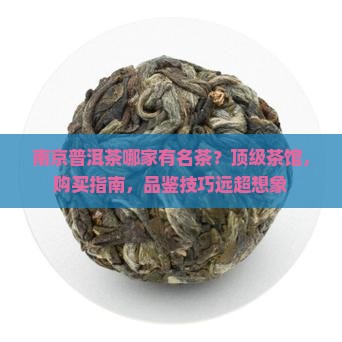 南京普洱茶哪家有名茶