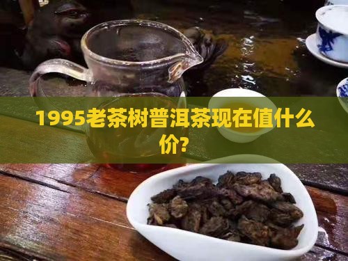 1995老茶树普洱茶