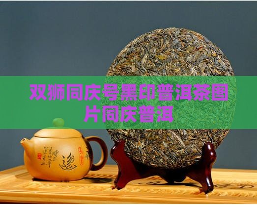 双狮同庆号黑印普洱茶