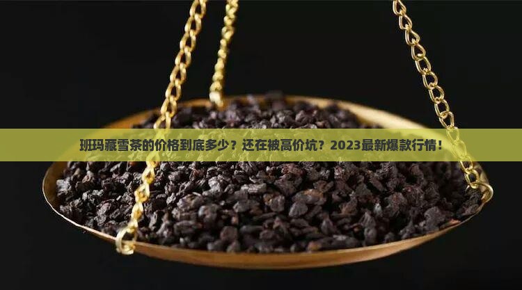 班玛藏雪茶的价格