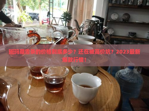 班玛藏雪茶的价格