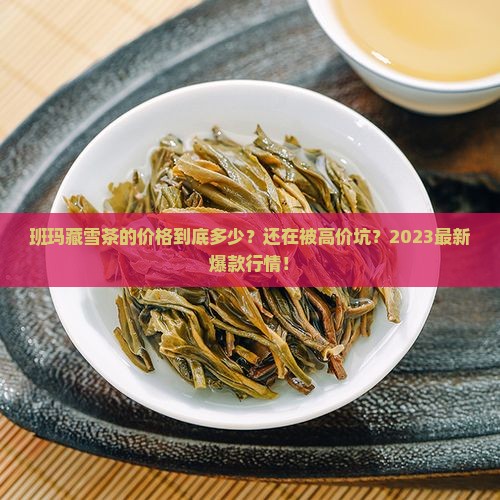 班玛藏雪茶的价格