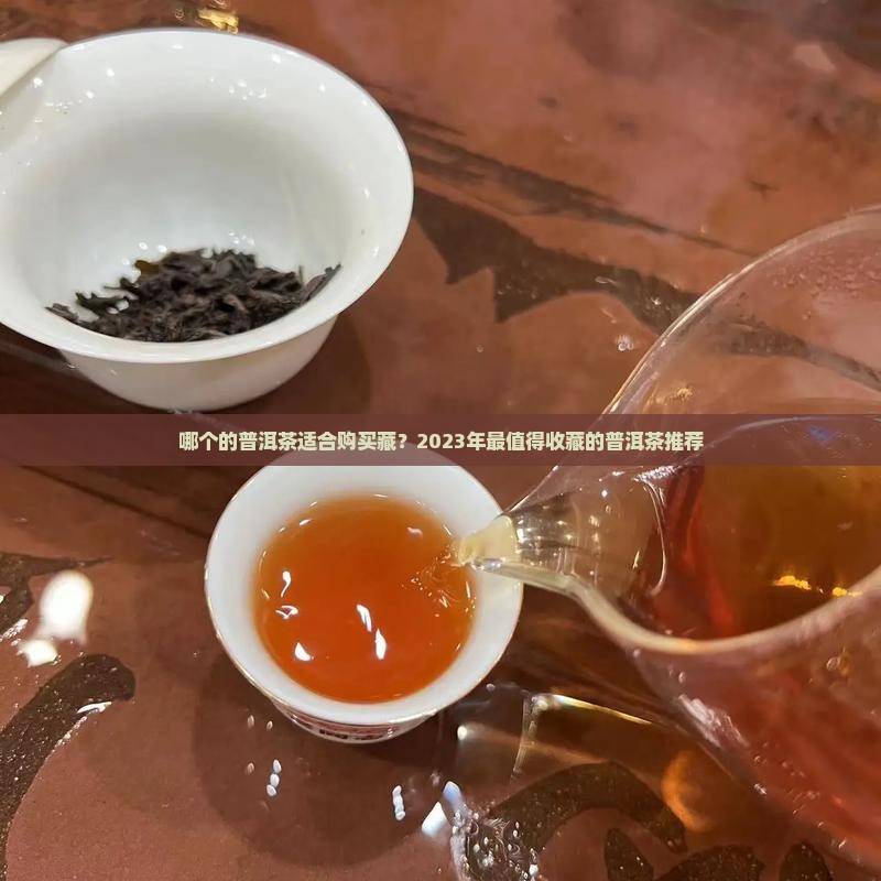 哪个品牌的普洱茶适合购买藏