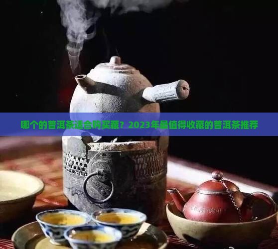 哪个品牌的普洱茶适合购买藏