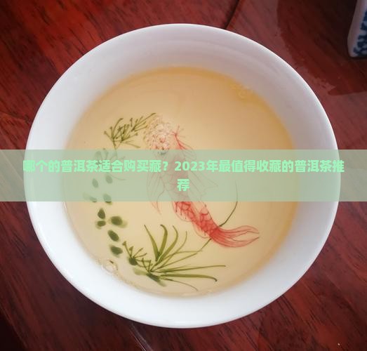 哪个品牌的普洱茶适合购买藏