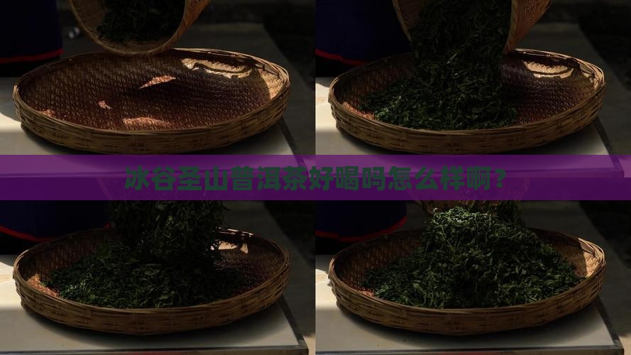 冰谷圣山普洱茶好喝吗怎么样