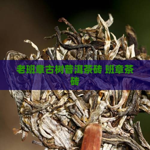 老班章大树茶砖
