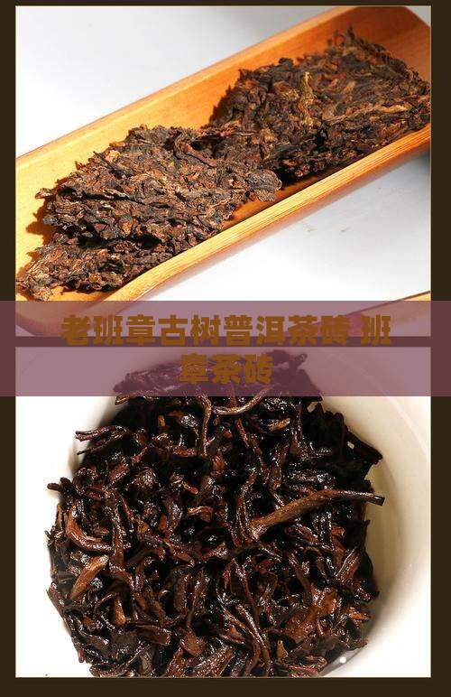 老班章大树茶砖