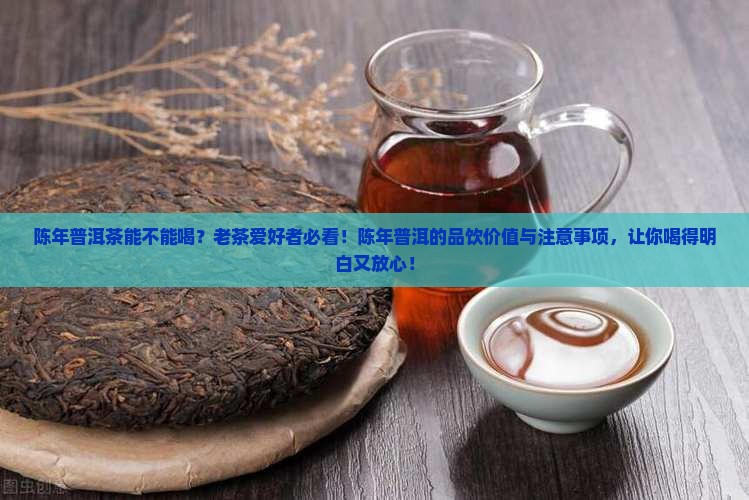陈年普洱茶能不能喝
