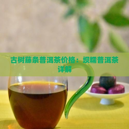 坝糯藤条普洱茶价格