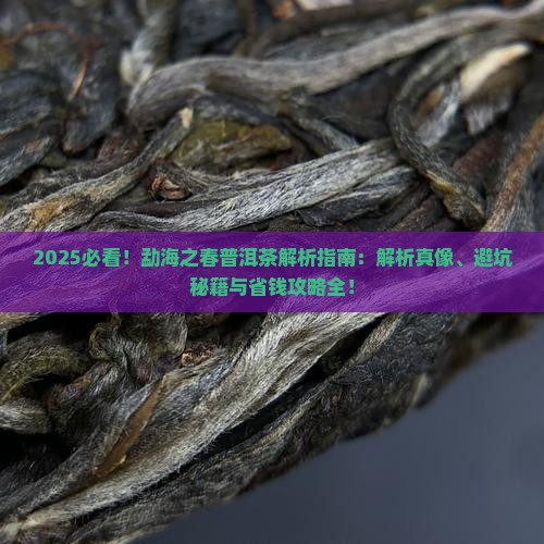 什么叫勐海之春普洱茶