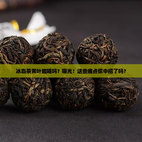 冰岛茶黄叶能喝吗