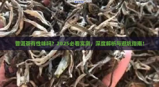 普洱茶有性味吗