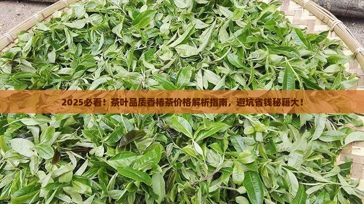 如何区分茶叶的品质香椿茶的价格