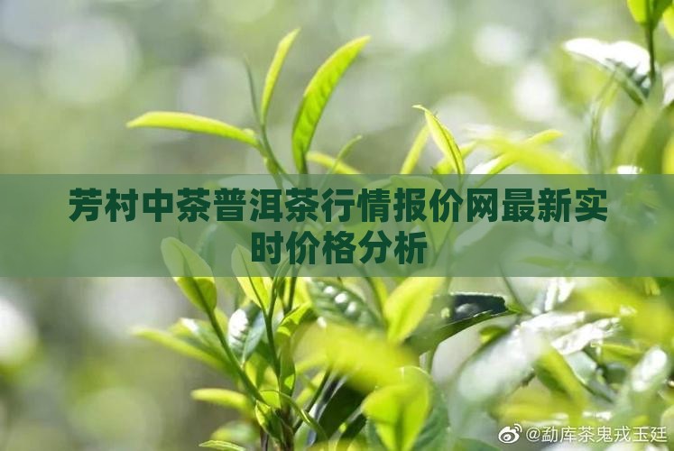 芳村中茶普洱茶行情报价网