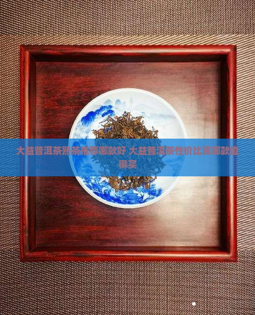 大益普洱茶熟茶散茶哪款好