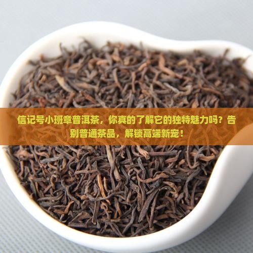 信记号小班章普洱茶