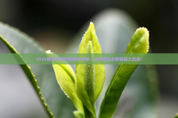 定制普洱茶饼价位表大全