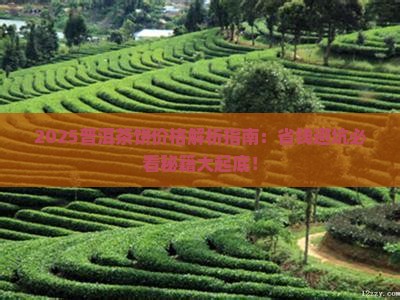 定制普洱茶饼价位表大全