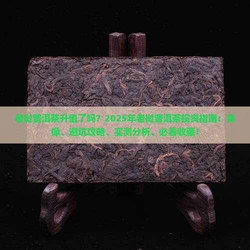 老挝普洱茶升值