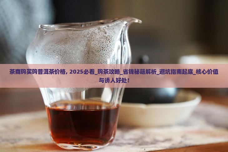 茶商购买购普洱茶价格