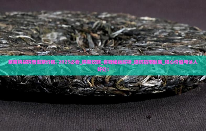 茶商购买购普洱茶价格