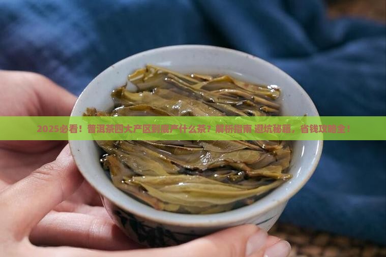普洱茶四大产区分别产什么茶叶