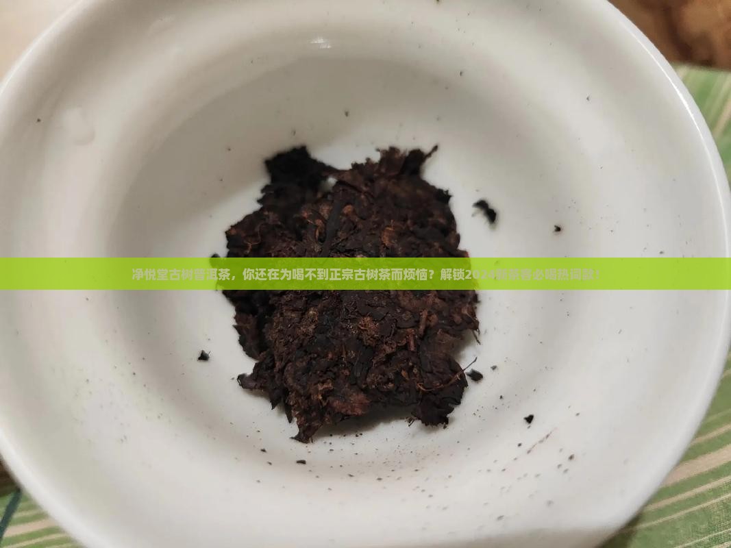 净悦堂古树普洱茶